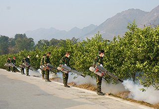 New weapon for Citrus wilt disease prevention and control The new spray insecticide fogger in Lipu, Guangxi is favored